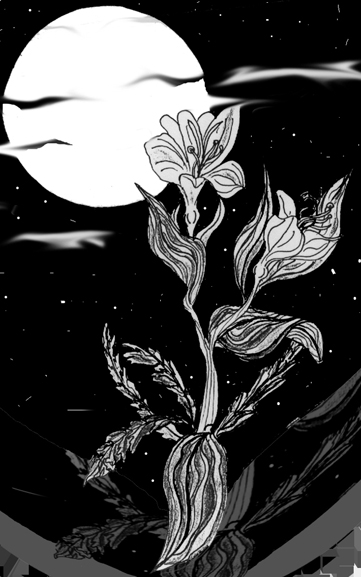 affair tim kelly artist illustrations